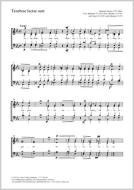 Tenebrae factae sunt Es-Dur MH 162 (1772) Download