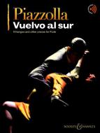 Vuelvo al sur 