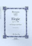 Elegía Standard