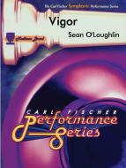 Vigor 