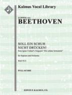 Concert Aria: Soll ein Schuh nicht druecken! 