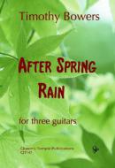 After Spring Rain 