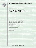 Die Walkuere: Acto III, Sc. 3: Despedida de Wotan y Escena del Fuego Mágico 
