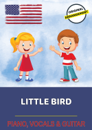 Little Bird 
