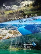 Three Fragments Of Life 