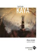 Maze Etude 