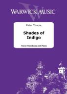 Shades of Indigo 