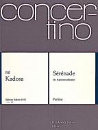 Serenade Op. 65 