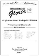 Baritone in der Nacht 