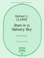 Stars in a Velvety Sky 