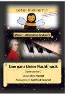 Serenata "A Very Small Night Music" K 648 Standard
