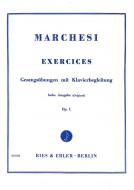 Exercises 