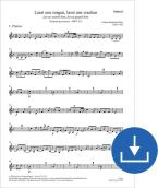 Vigilémosle, custodiémosle BWV 213 Download