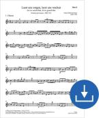 Vigilémosle, custodiémosle BWV 213 Download