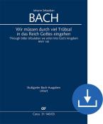 Debemos pasar por muchas tribulaciones BWV 146 Download