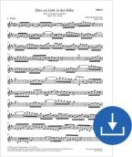 Gloria a Dios en las alturas BWV 197a, BWV3 197.1 Download