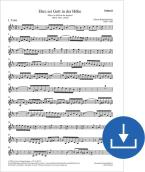 Gloria a Dios en las alturas BWV 197a, BWV3 197.1 Download