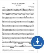 Gloria a Dios en las alturas BWV 197a, BWV3 197.1 Download