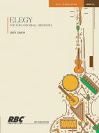 Elegy For Tuba And Small Orchestra 