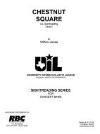 Chestnut Square 