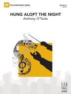 hung aloft the night 