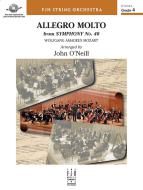 Allegro molto from Symphony No. 40 