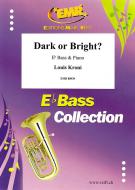 Dark or Bright? Standard