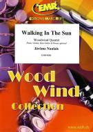 Walking In The Sun Download