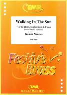 Walking In The Sun Download