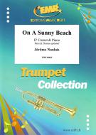 On A Sunny Beach Download
