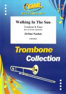 Walking In The Sun Download