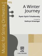A Winter Journey 