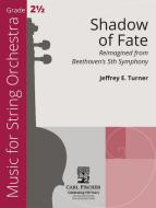 Shadow of Fate 