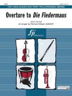 Die Fledermaus 