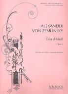 Trio In D Minor Op. 3 