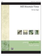 Mill Mountain Vistas 