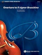 Overture to 'Il signor Bruschin' 