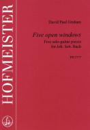 5 open windows 
