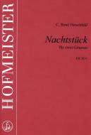 Nachtstück 