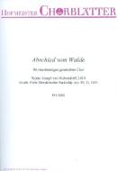 Abschied vom Walde 