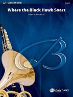 Where The Black Hawk Soars 