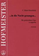 in die Nacht gesungen 