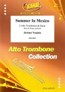 Summer In Mexico Download