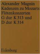 Cadenzas to Mozart's Concertos K 313, 314 