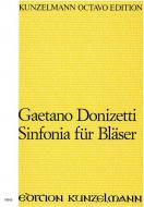 Sinfonia in G minor 