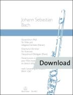 Obertura de la Suite orquestal en si menor BWV 1067 Download