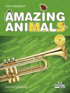 Amazing Animals 
