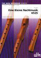 Eine kleine Nachtmusik 