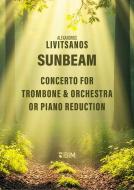 Sunbeam Standard