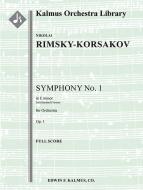 Symphony No. 1 in E minor, op. 1 